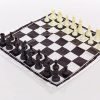 Шахматные фигуры пластиковые с полотном для игрAHM (пластик, h пешки-2см)