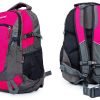 Рюкзак спортивный с жесткой спинкой Zelart (нейлон, р-р 50х33х16см, цвета в ассортименте) - Цвет Малиновый