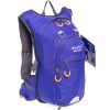 Рюкзак спортивный с жесткой спинкой DTR V-15л (нейлон, р-р 44х21х12см, цвета в ассортименте) - Цвет Синий