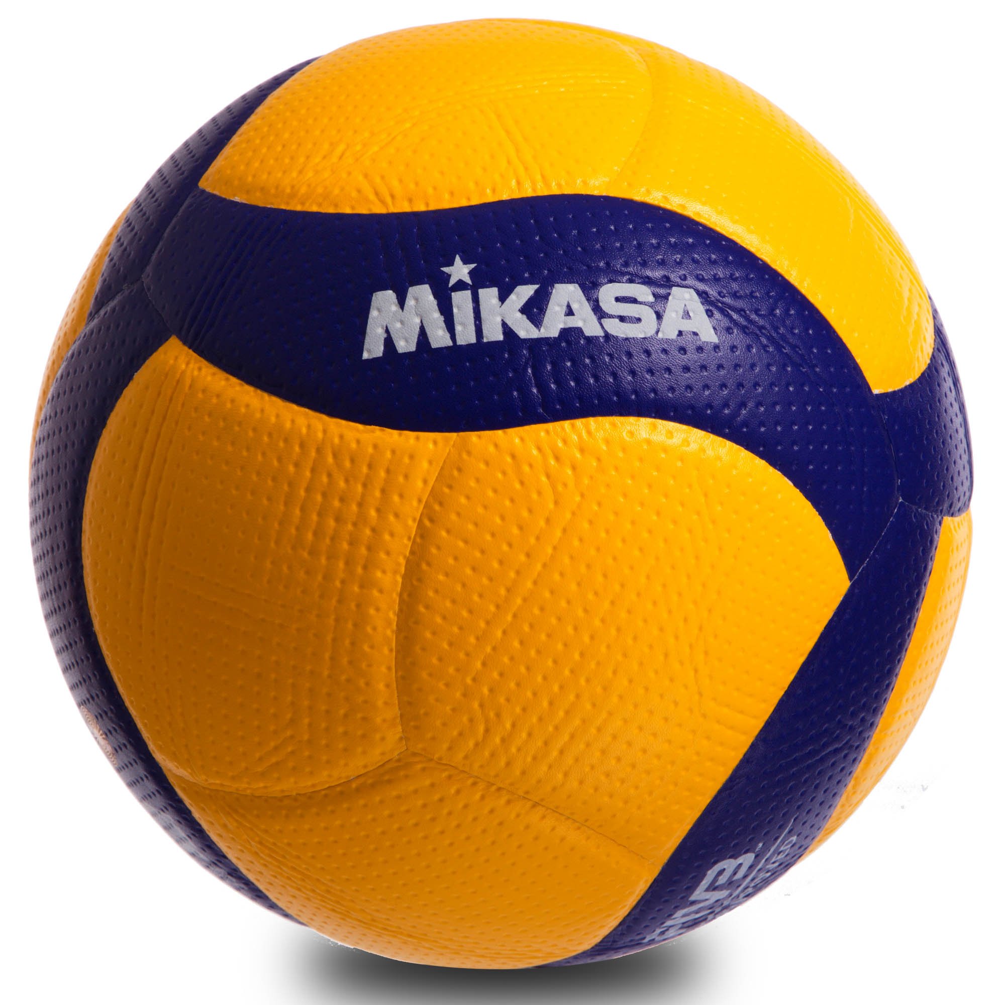 Mikasa Volleyball v200