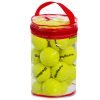 Мяч для большого тенниса (24шт) ODEAR (PVC сумка, салатовый)