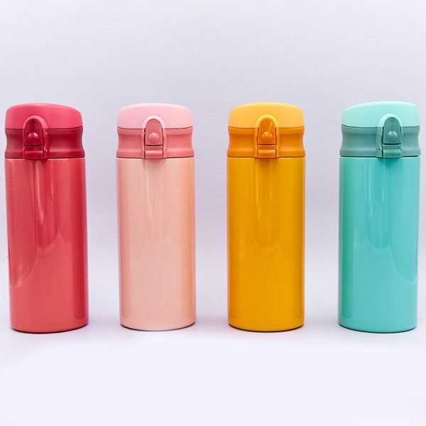 Бутылка для воды-термос SANMEGA 350ml (сталь, цвета в ассортименте)