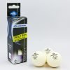 Набор мячей для настольного тенниса 3 штуки DONIC CHAMPION 3star (пластик, d-40мм, белый)