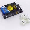 Набор мячей для настольного тенниса 6 штук SGA CUP (целлулоид, d-40мм, белый) Replika
